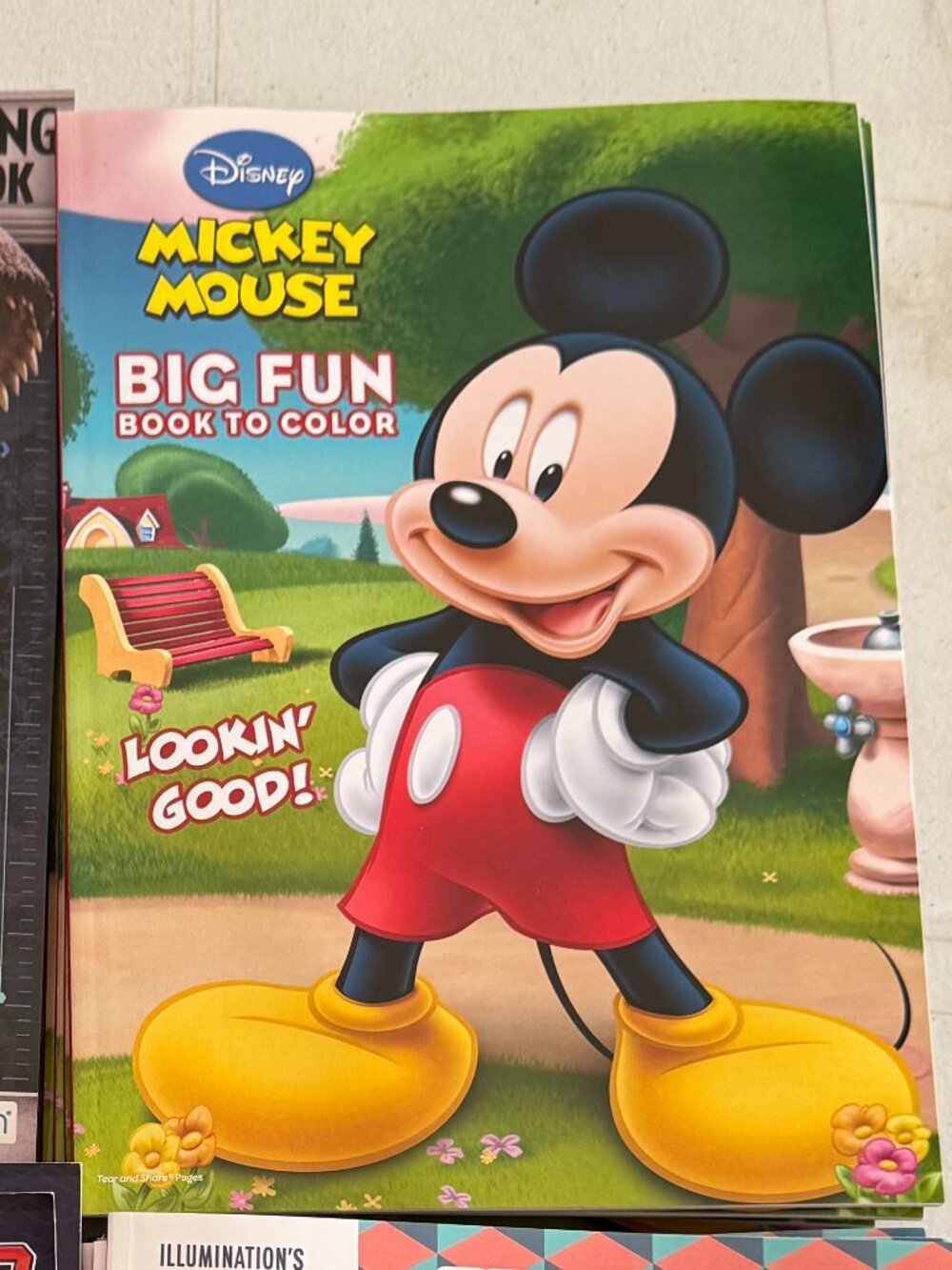 Mickey Mouse coloring book set of 6